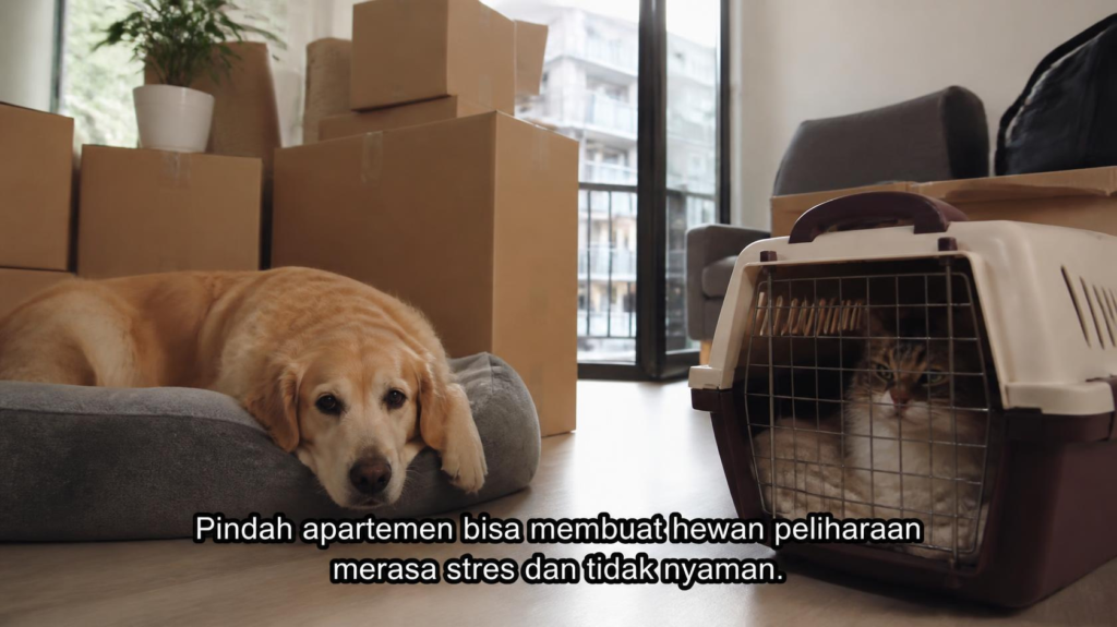Pindahan Apartemen dengan Anjing atau Kucing 7 Tips Agar Si Bulu Tetap Tenang!